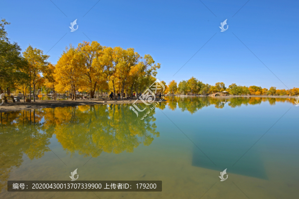 沙漠綠洲六