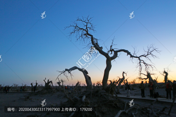 沙漠風光三