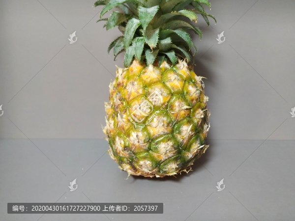 鳳梨