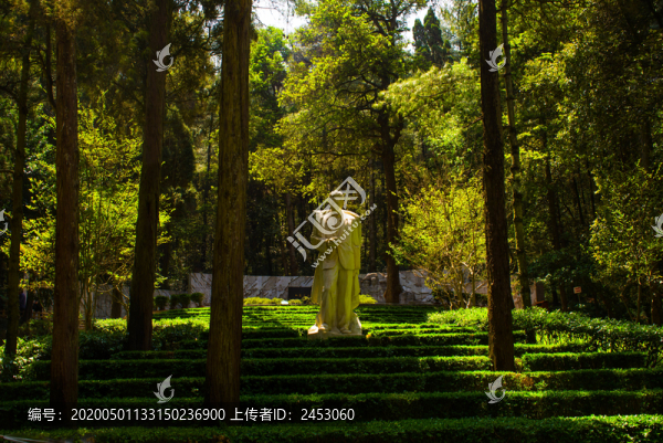 云南風(fēng)光森林聶耳像