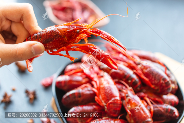 十三香小龍蝦