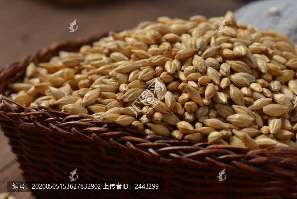 帶殼小麥
