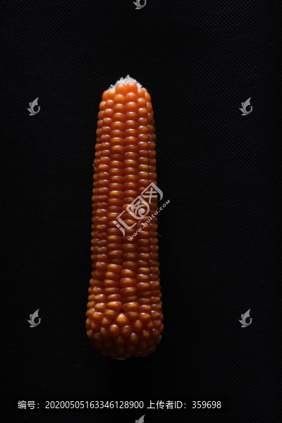 玉米