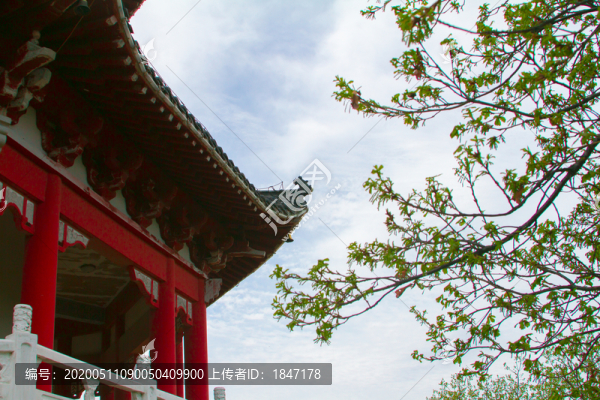 石頭口門水庫