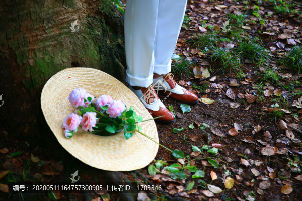 婚紗藝術(shù)照
