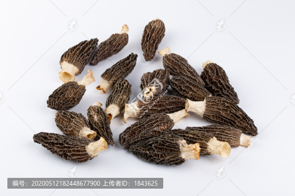 云南羊肚菌干貨牛肚菌素材