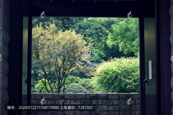 玉泉魚躍