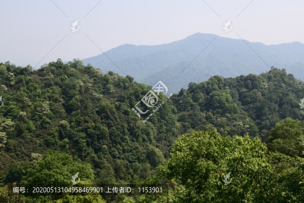 青城后山
