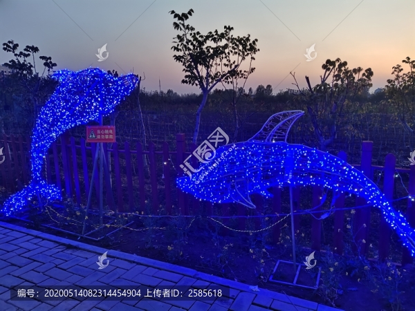 夢(mèng)幻海豚