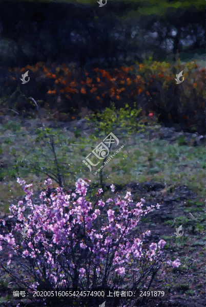 春花水彩裝飾畫