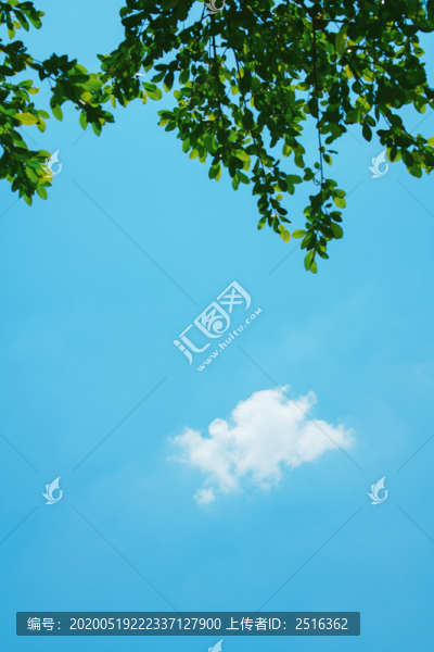 夏日
