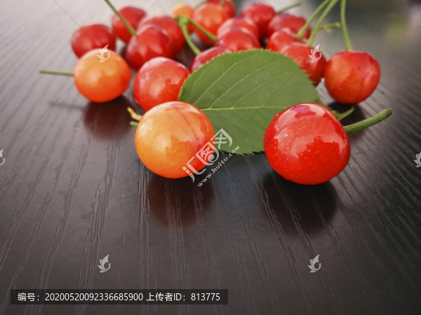 高山櫻桃