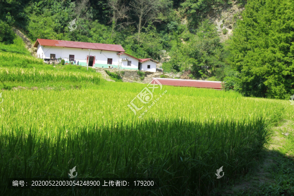 匯灣風景A