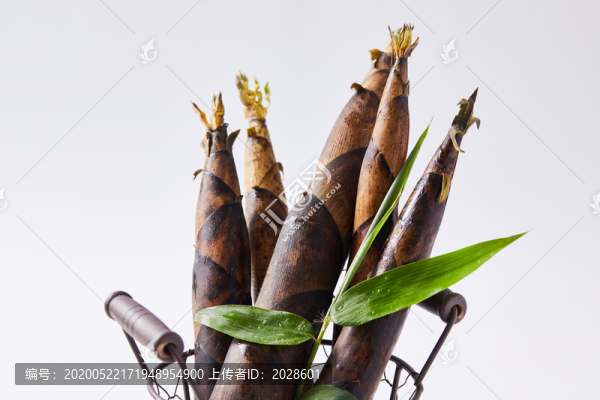 新鮮竹筍特寫