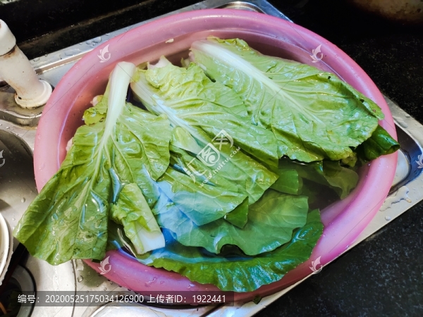 白菜