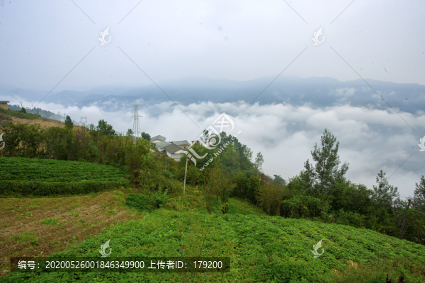 匯灣云霧CR