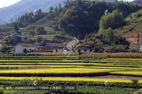 平利草甸A