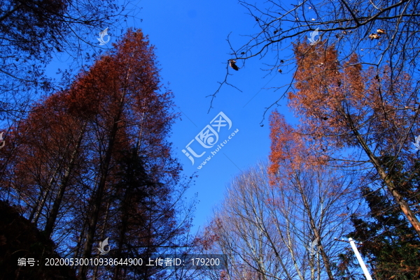偏頭山BB
