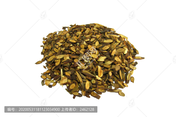 桂枝