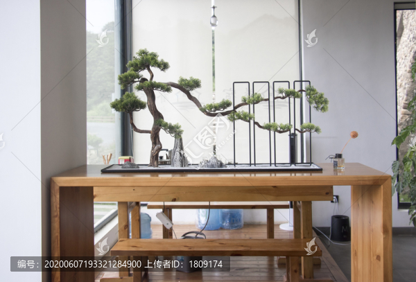 松樹(shù)盆景