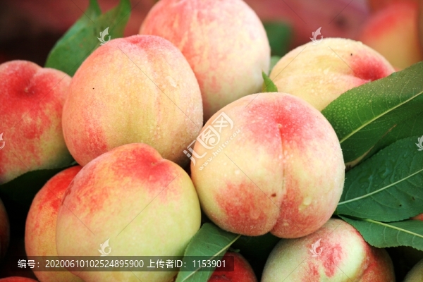 農(nóng)家桃子