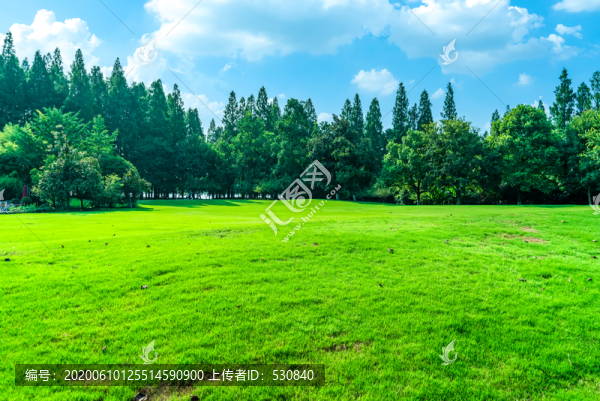 藍天草地綠樹林