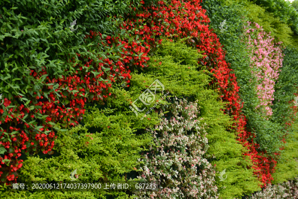 綠植墻