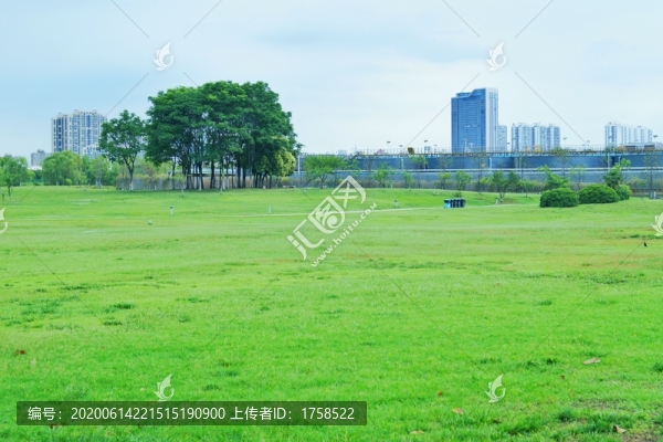 草地樹(shù)木