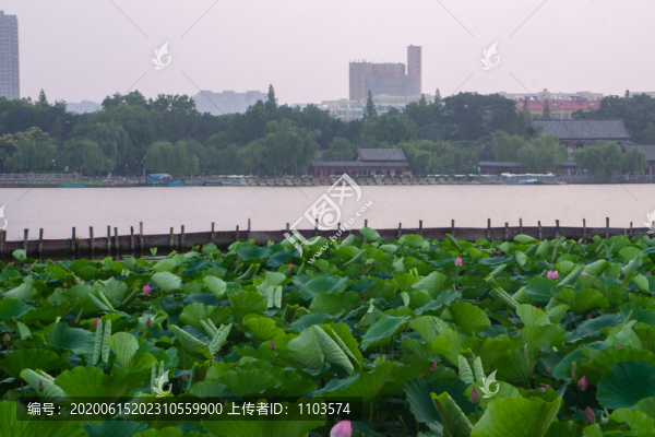 濟(jì)南大明湖21