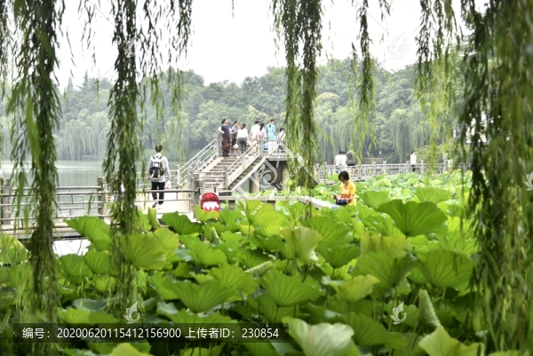 合肥包河公園