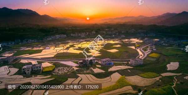 中峰稻田