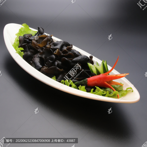 黑木耳