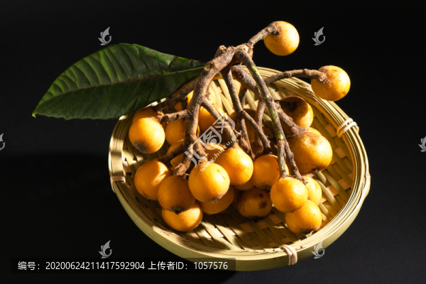 黑背景枇杷高清圖