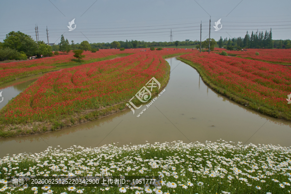 花開海上公園