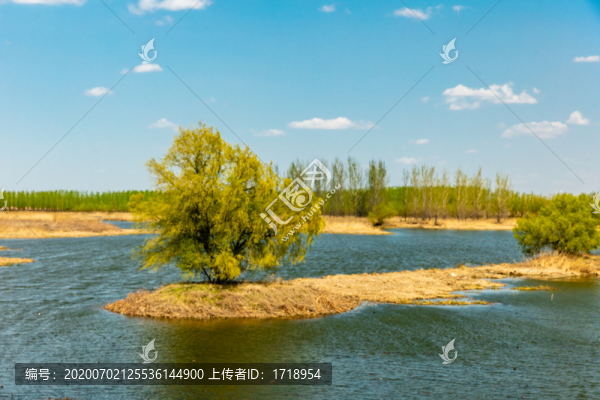 沈陽遼河七星濕地水岸風光16