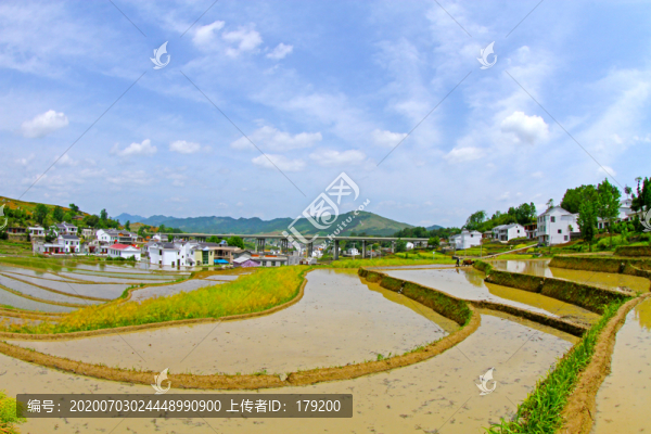 中峰貢米基地DL