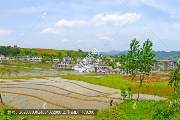 中峰貢米基地EA