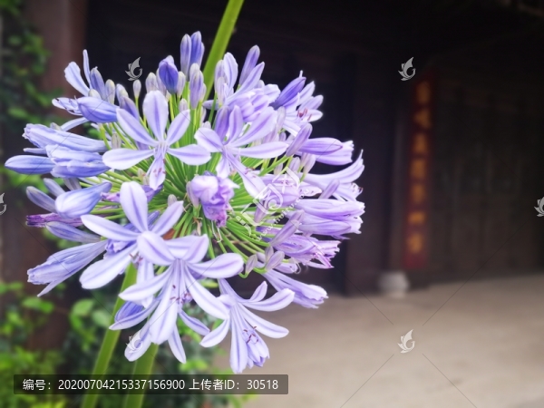 鳩茲古鎮(zhèn)
