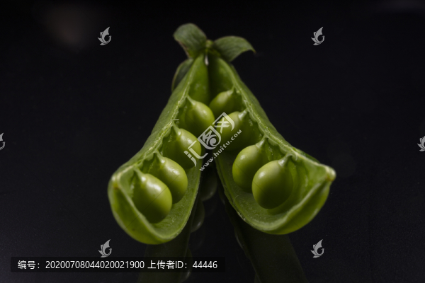 豌豆莢