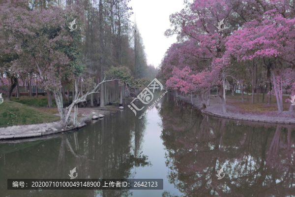 小河兩岸