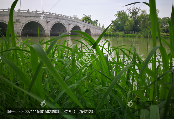 石拱橋