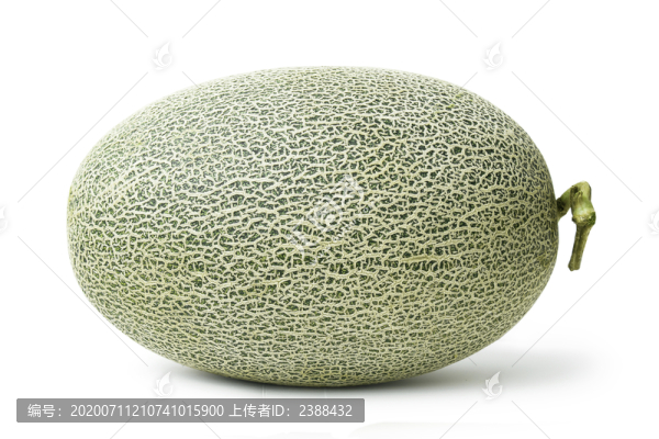 哈密瓜