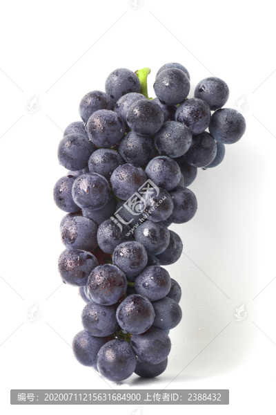夏黑葡萄