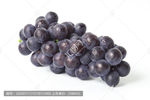 葡萄