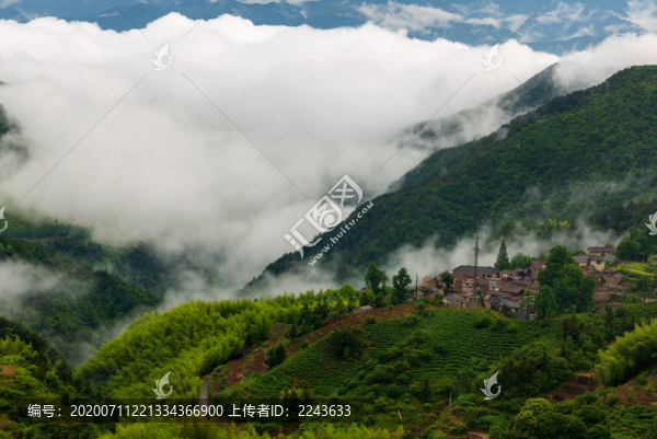 鄉(xiāng)村迷霧