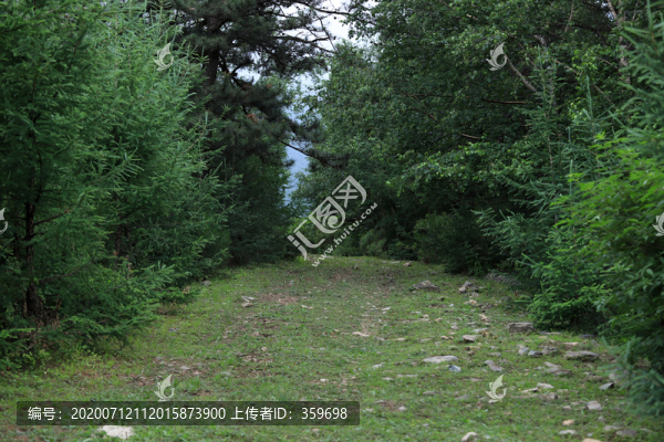 林間小路