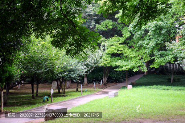 公園景觀走廊