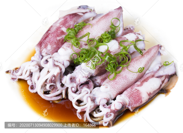 印尼魷魚