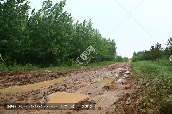 泥濘土路