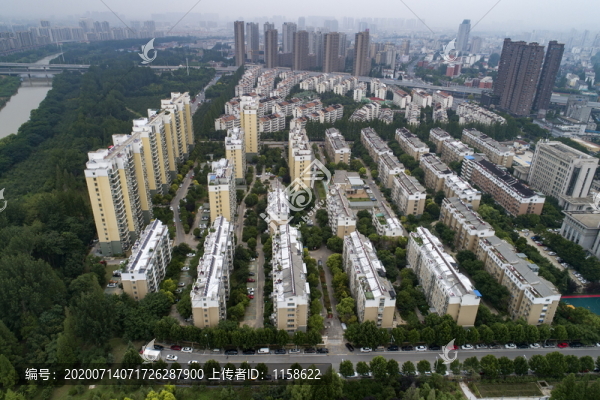 城市生活小區(qū)綠化
